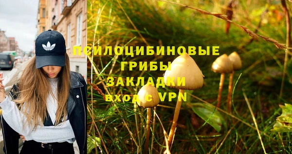 прущая мука Гусь-Хрустальный