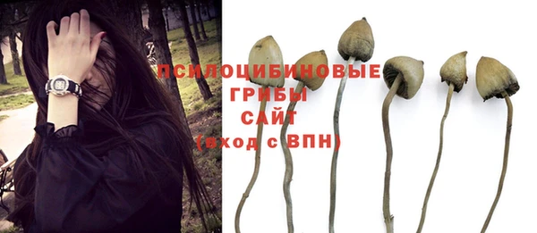 прущая мука Гусь-Хрустальный