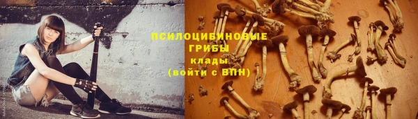 прущая мука Гусь-Хрустальный