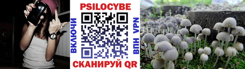 Псилоцибиновые грибы MAGIC MUSHROOMS  Дальнегорск 