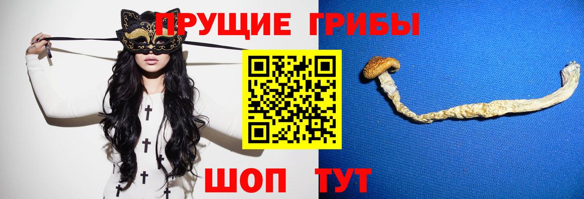 Псилоцибиновые грибы Cubensis Дальнегорск